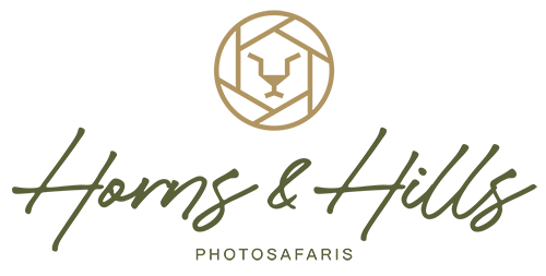 logo main